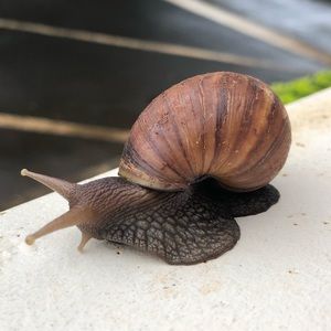 Meet your Posher, Drew